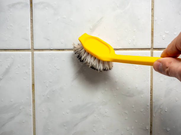 Best Same-Day Mold Removal  in Shoemakersville, PA