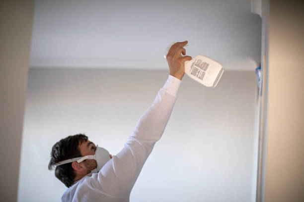 Mold Removal Process in Shoemakersville, PA