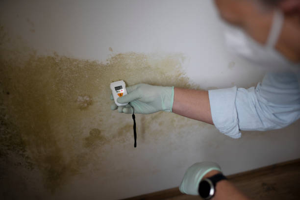 Best Crawl Space Mold Removal  in Shoemakersville, PA