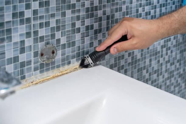 Home Mold Removal in Shoemakersville, PA