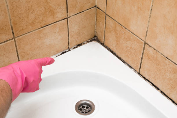 Best Mold Testing  in Shoemakersville, PA